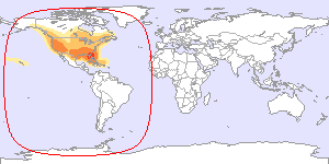 Galaxy 3C: North America & Puerto Rico footprint map