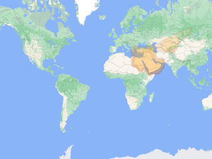 Badr 7: East MENA footprint map